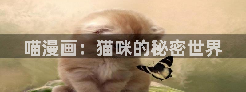 腐漫h