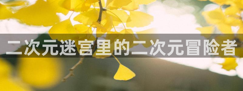 腐腐漫画：二次元迷宫里的二次元冒险者