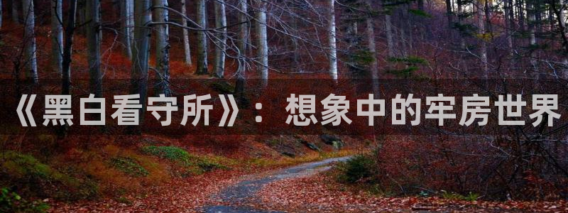 免费无删减腐漫：《黑白看守所》：想象中的牢房世界