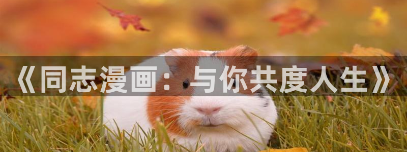 腐漫阅读：《同志漫画：与你共度人生》