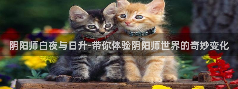 腐漫触手：阴阳师白夜与日升-带你体验阴阳师世界的奇妙变化