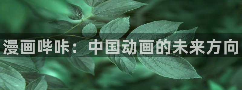 动漫腐漫：漫画哔咔：中国动画的未来方向