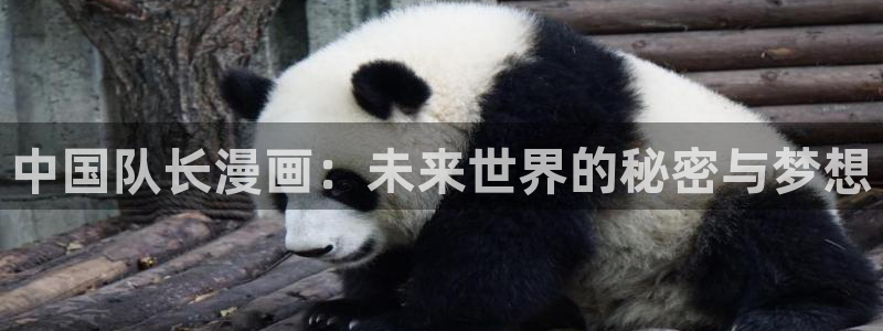 腐腐漫画网：中国队长漫画：未来世界的秘密与梦想