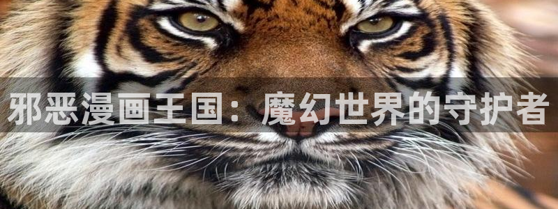 腐漫壁纸：邪恶漫画王国：魔幻世界的守护者