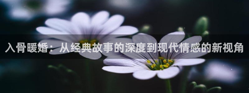 腐漫免费无删减：入骨暖婚：从经典故事的深度到现代情感的新视角