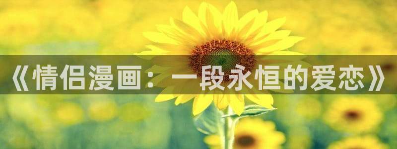 腐漫双男主：《情侣漫画：一段永恒的爱恋》