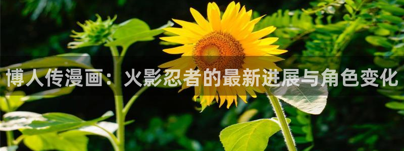 耽腐漫