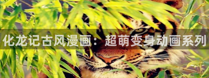 腐漫免费