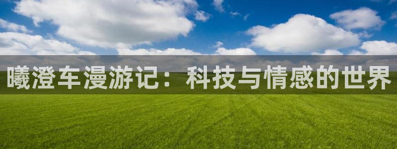 腐漫 肉