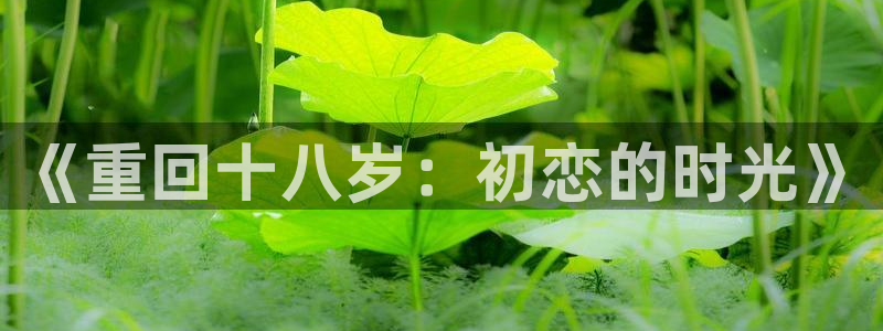 腐漫短片