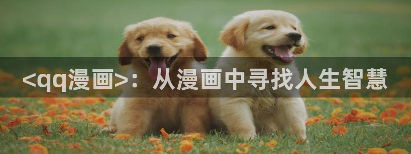 腐漫文