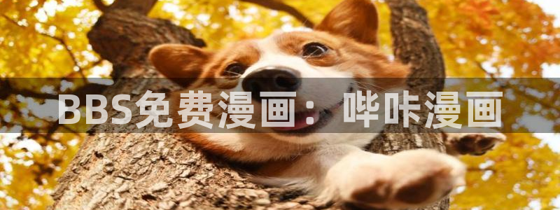看腐漫画哪个app最好