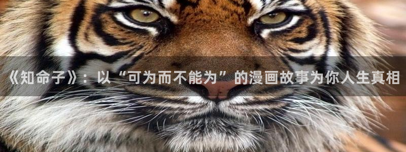 腐漫画免费看