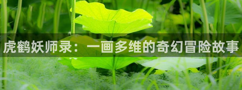 腐漫壁纸