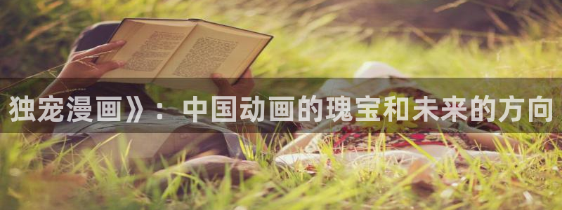 男男腐漫画网站：独宠漫画》：中国动画的瑰宝和未来的方向