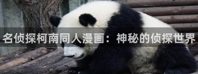 腐漫宅：名侦探柯南同人漫画：神秘的侦探世界