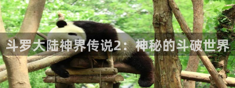 腐漫漫画网址：斗罗大陆神界传说2：神秘的斗破世界
